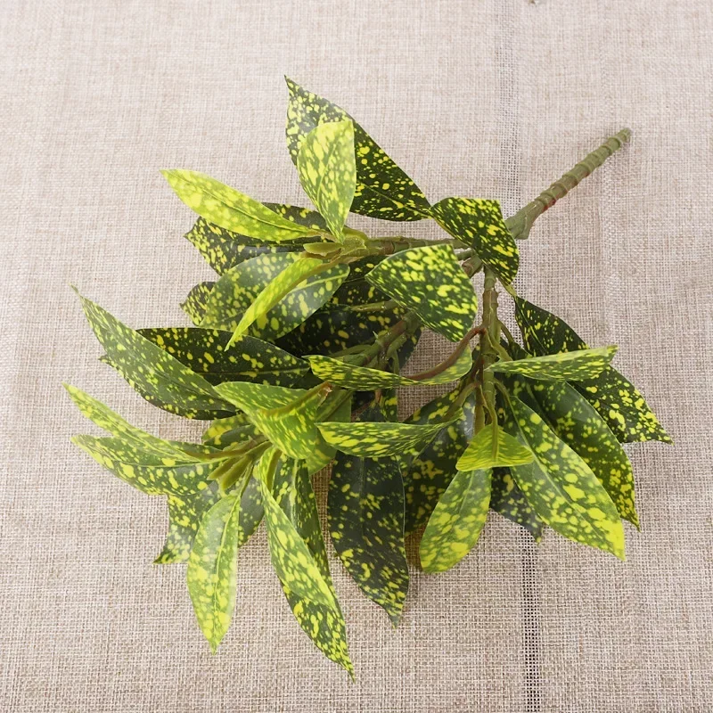 Plastic Artificial Color-chang - مراجعة Dracaena Marginata وسعره