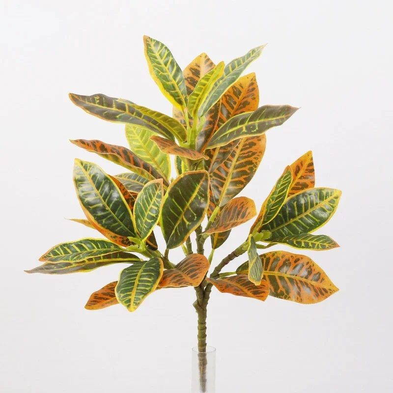 Plastic Artificial Color-chang - مراجعة Dracaena Marginata وسعره
