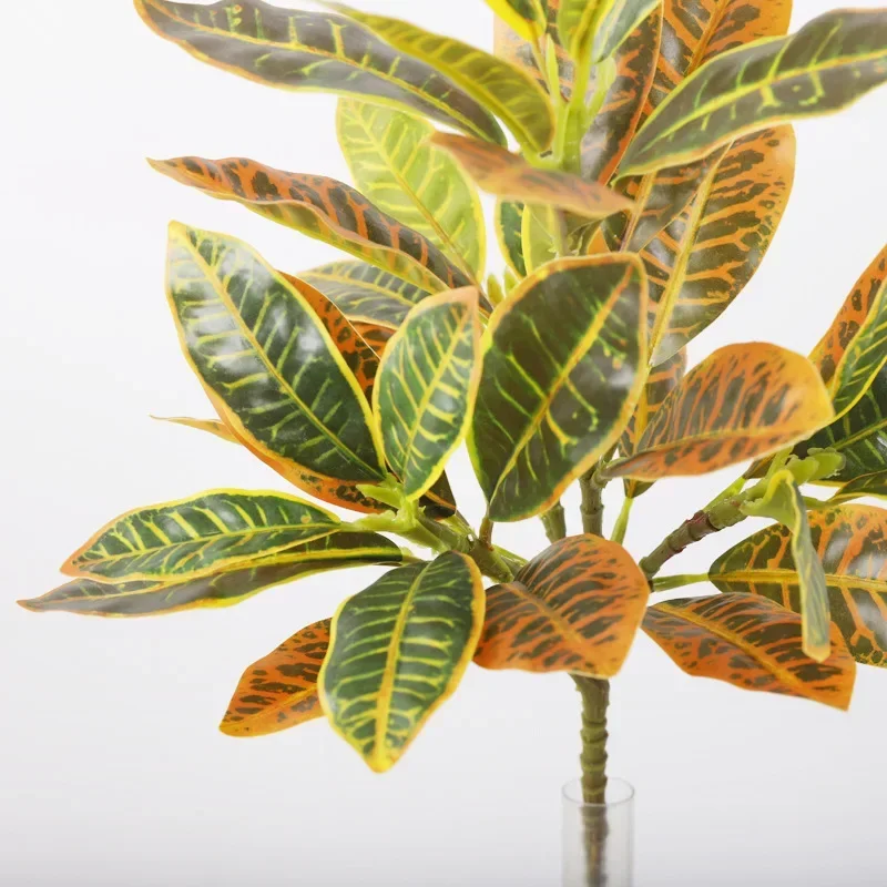 Plastic Artificial Color-chang - مراجعة Dracaena Marginata وسعره