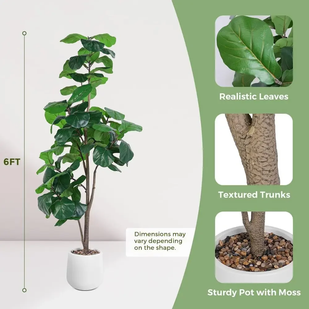 Artificial Large Ficus Lyrata  - مراجعة Ficus Lyrata Tree وسعره