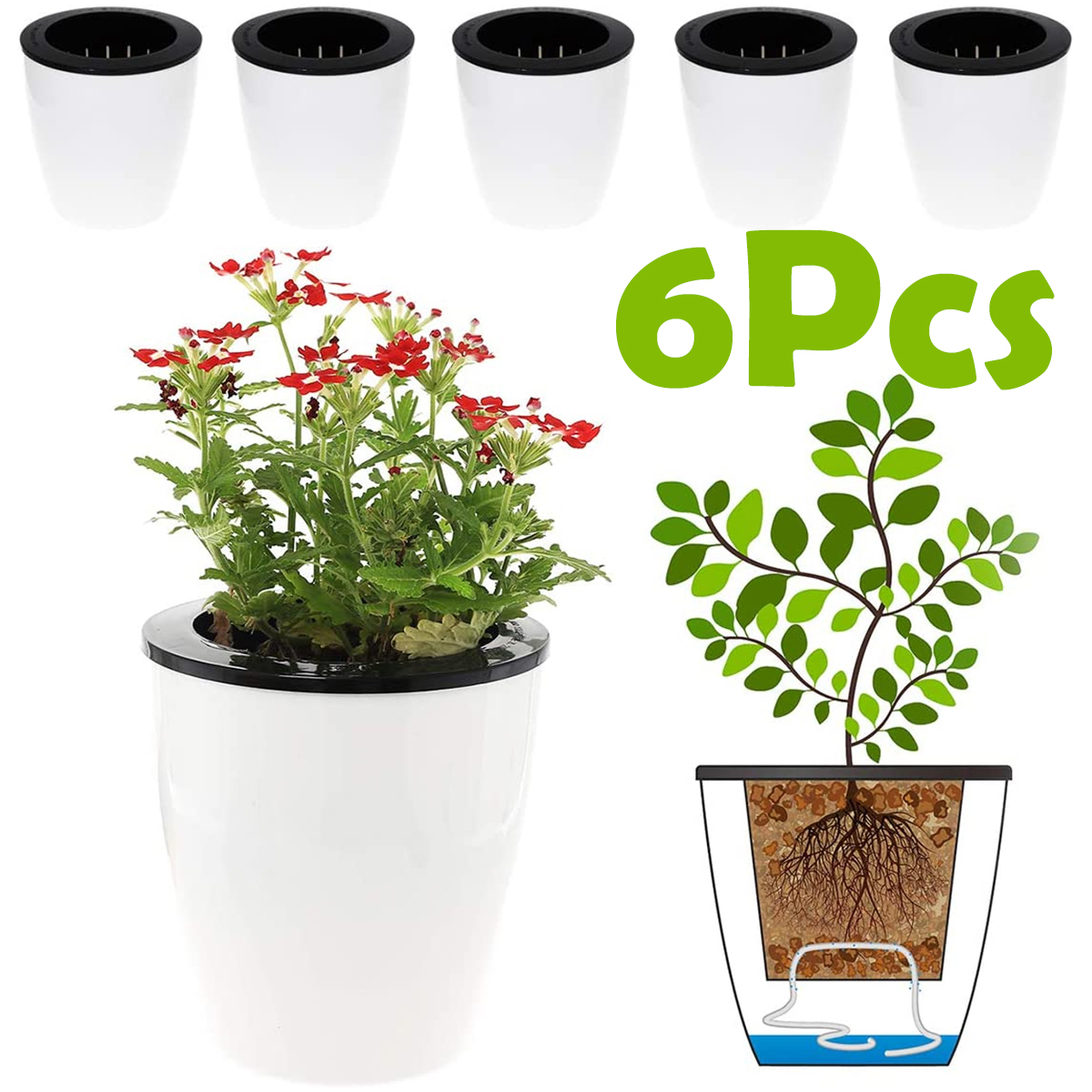 6/12Pcs Self-Watering Flower P - مراجعة Echeveria Succulent وسعره