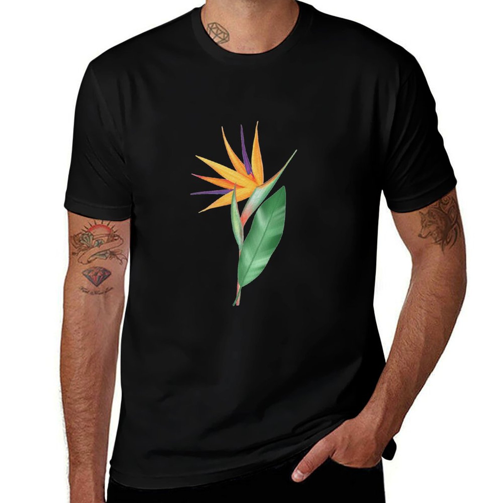 Watercolor bird of paradise fl - مراجعة Bird Paradise Strelitzia وسعره