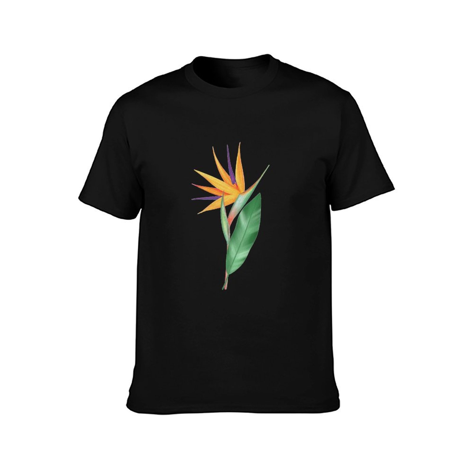 Watercolor bird of paradise fl - مراجعة Bird Paradise Strelitzia وسعره