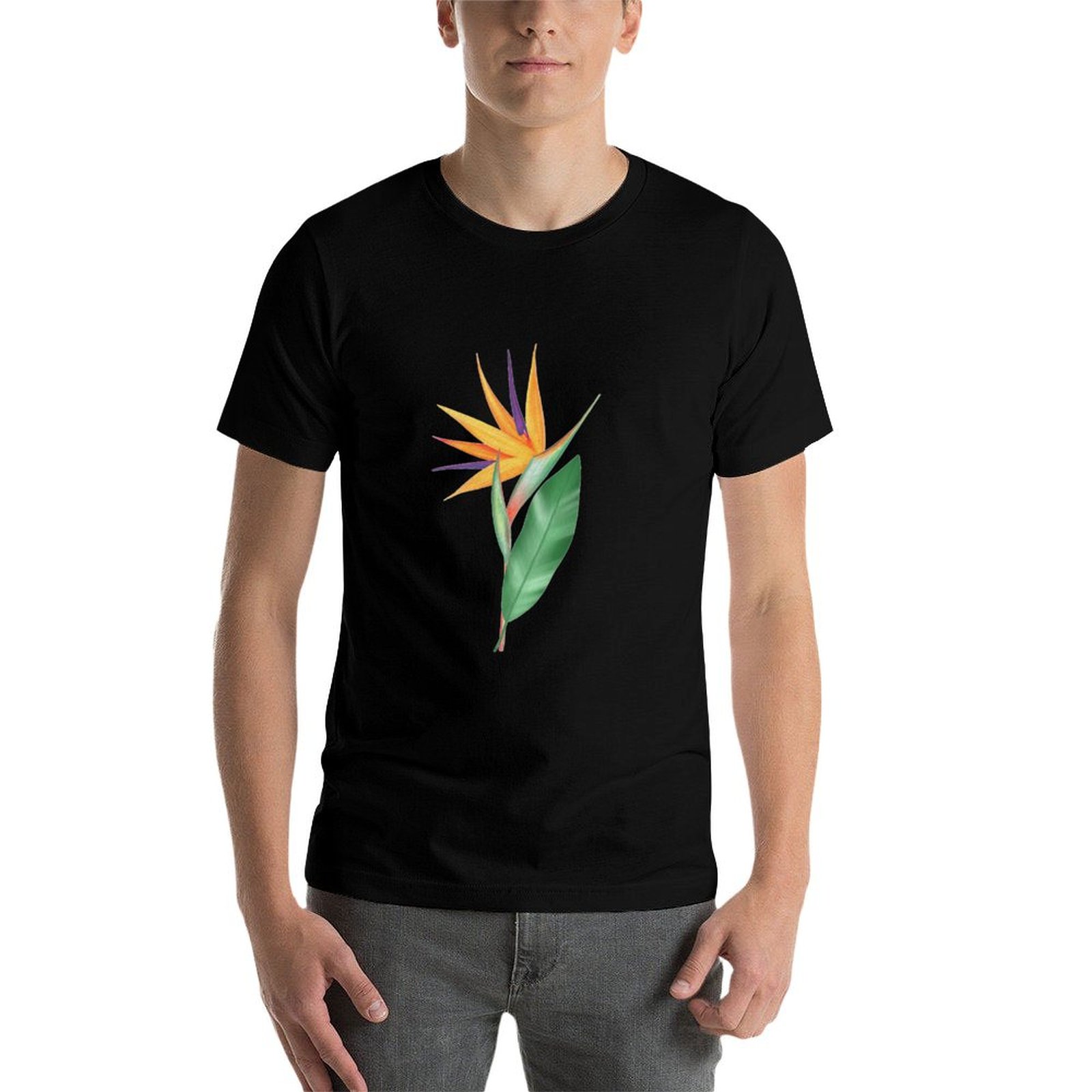 Watercolor bird of paradise fl - مراجعة Bird Paradise Strelitzia وسعره