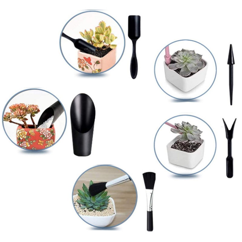 Mini Gardening Tool Set Label  - مراجعة Echeveria Succulent وسعره
