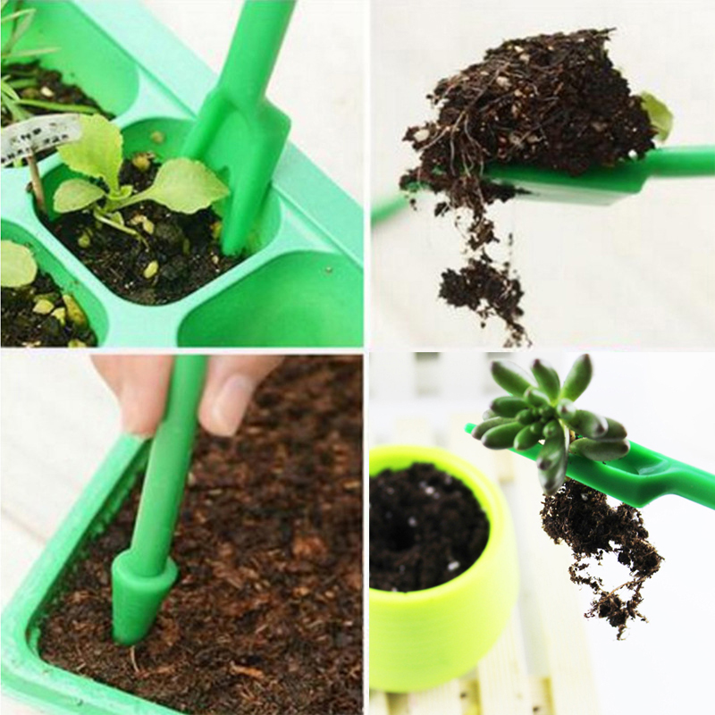 Mini Gardening Tool Set Label  - مراجعة Echeveria Succulent وسعره