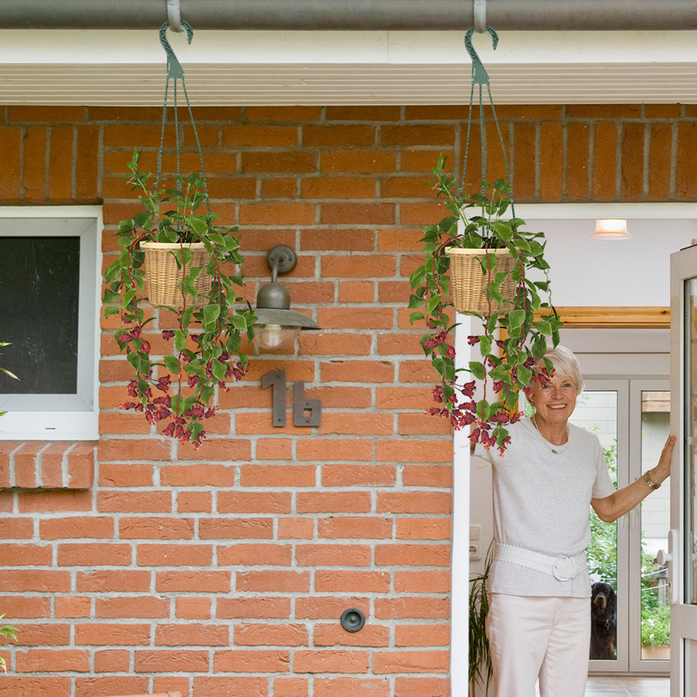 5Pcs Hanging Planter Hooks Ver - مراجعة Spider Plant Hanging وسعره