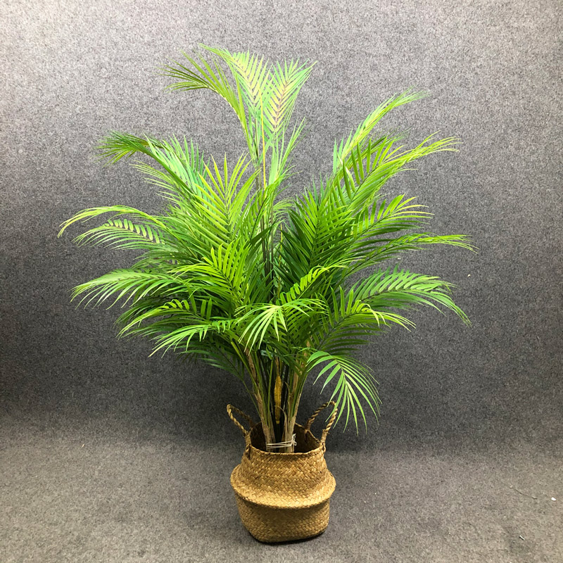 125cm Large Artificial Palm Tr - مراجعة Dracaena Marginata وسعره
