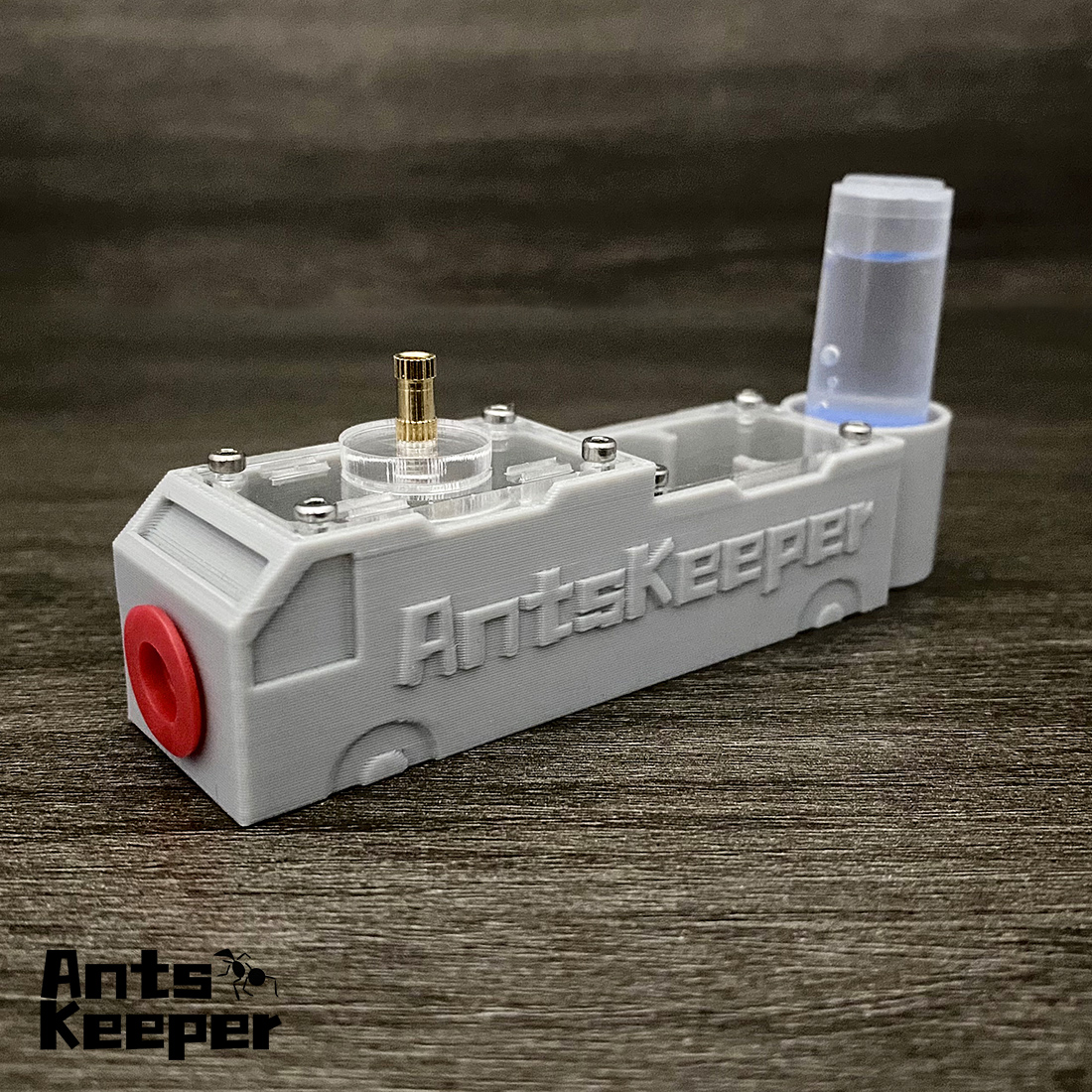 【Truck】Ant Farm for Ants keepe - مراجعة Begonia Rex وسعره