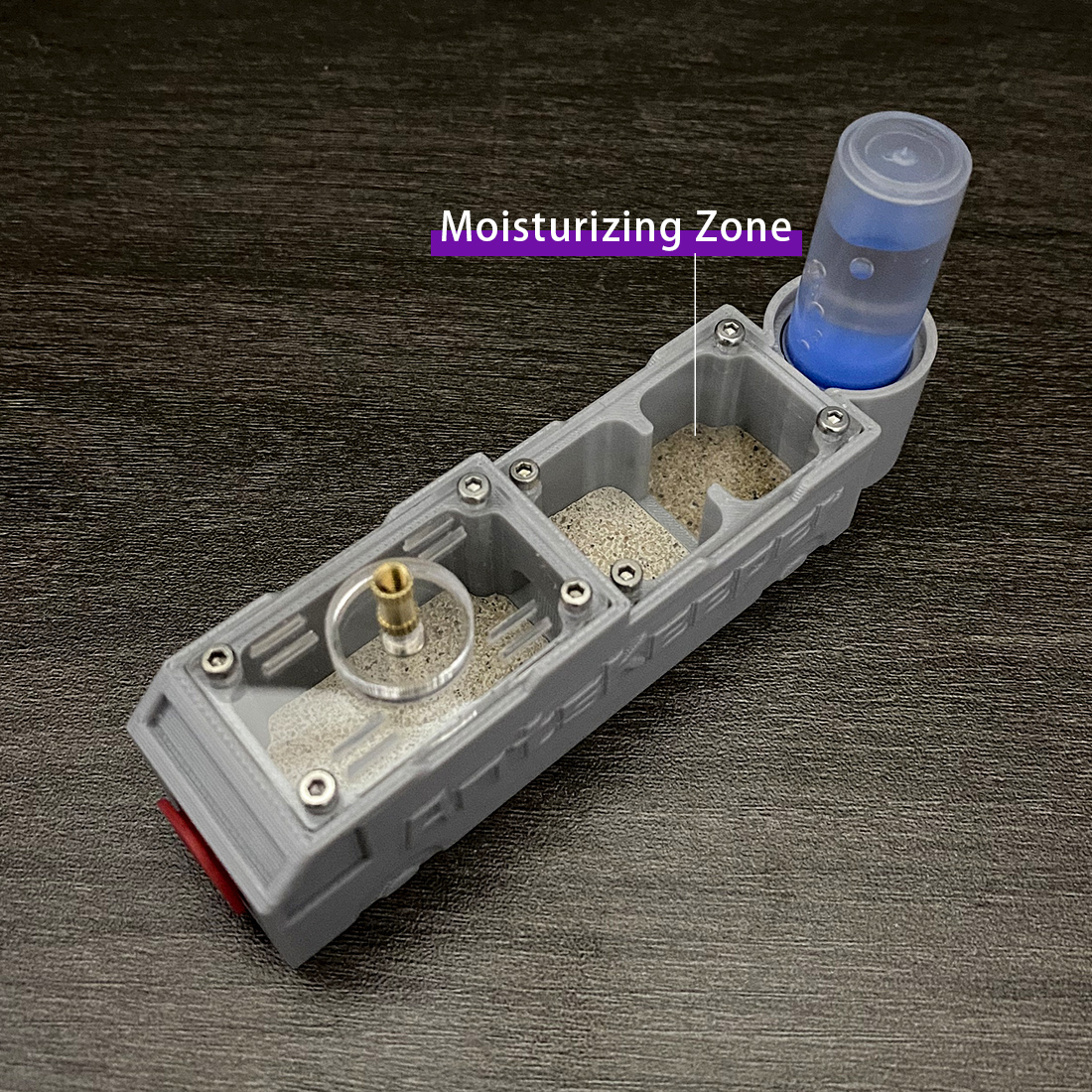 【Truck】Ant Farm for Ants keepe - مراجعة Begonia Rex وسعره