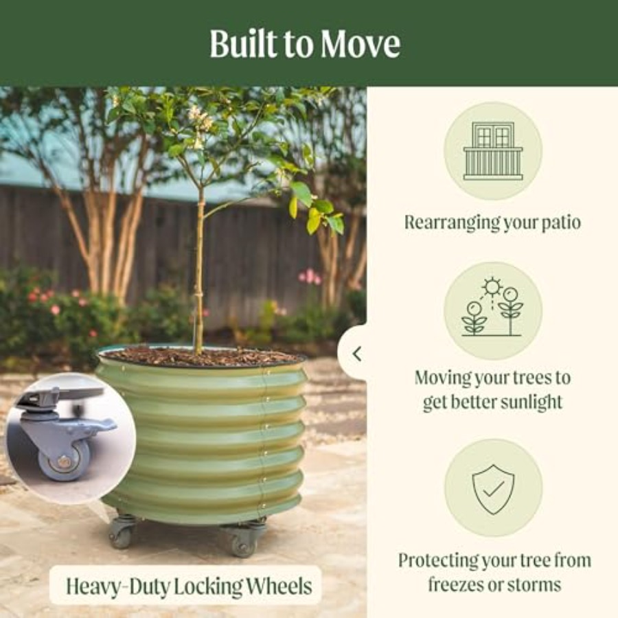 Self-Watering Rolling Metal Ci - مراجعة Aloe Vera Pot وسعره