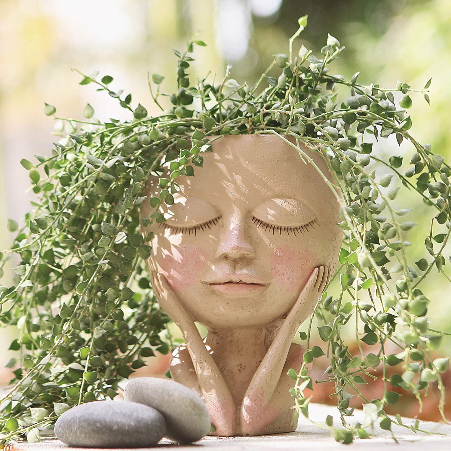 Girls Face Head Flower Planter - مراجعة Echeveria Succulent وسعره