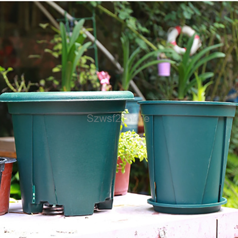 5/10pcs Green Plastic Plant Fl - مراجعة Echeveria Succulent وسعره