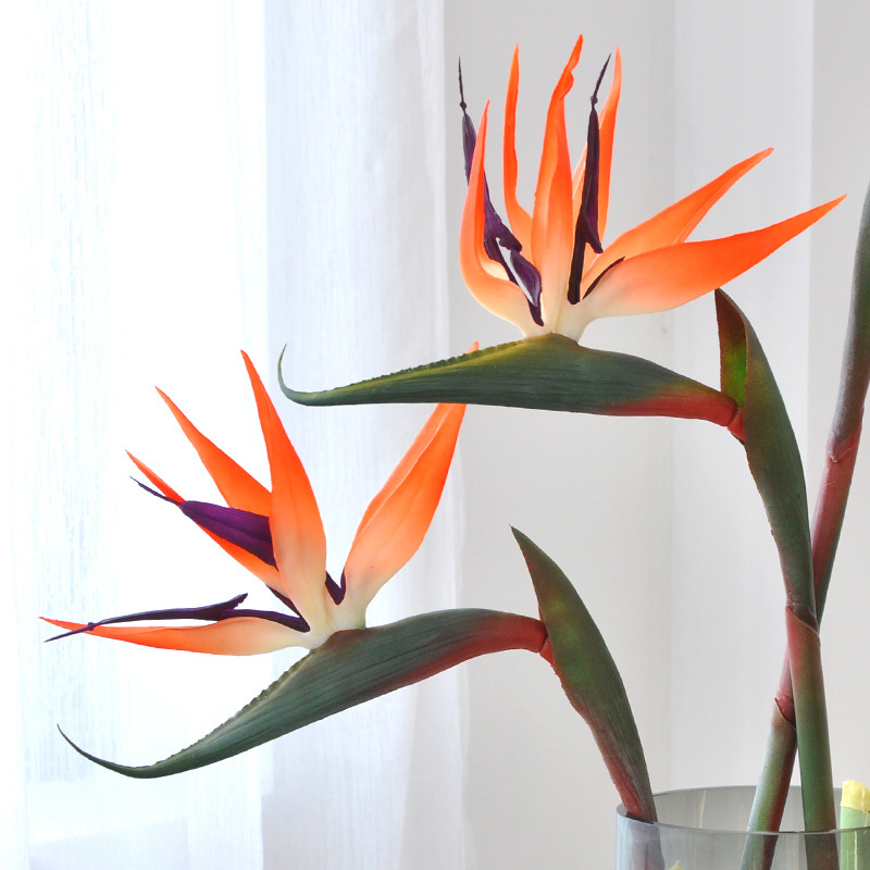 3pcs Artificial Bird Of Paradi - مراجعة Bird Paradise Strelitzia وسعره