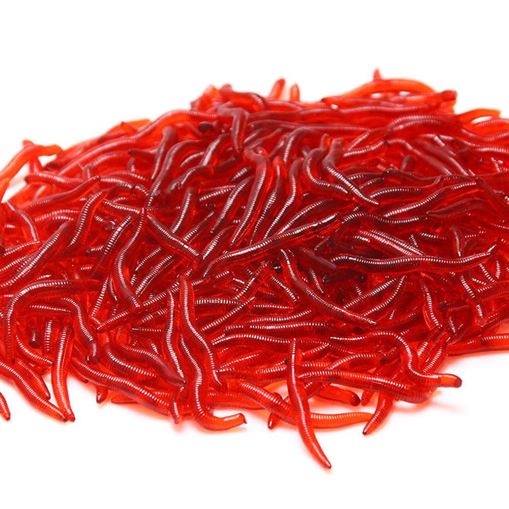 50/100PCS Soft Lure Bass Bream - مراجعة Aglaonema Red وسعره