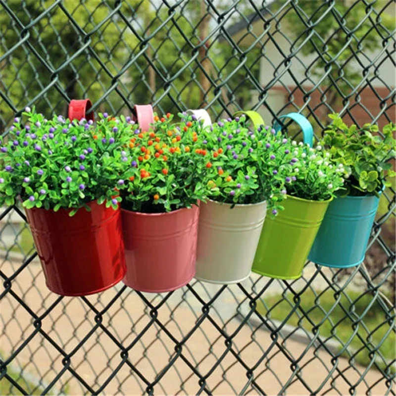 10 Colors Metal Iron Flower Wa - مراجعة Echeveria Succulent وسعره