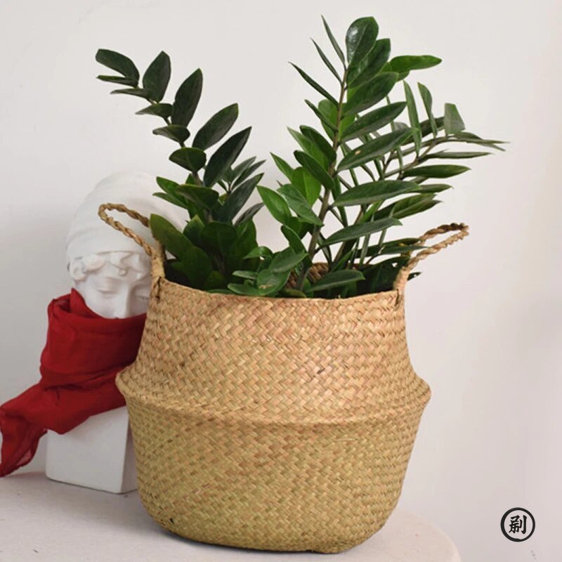 Wicker Basket Toy Organizer Fo - مراجعة Aloe Vera Pot وسعره
