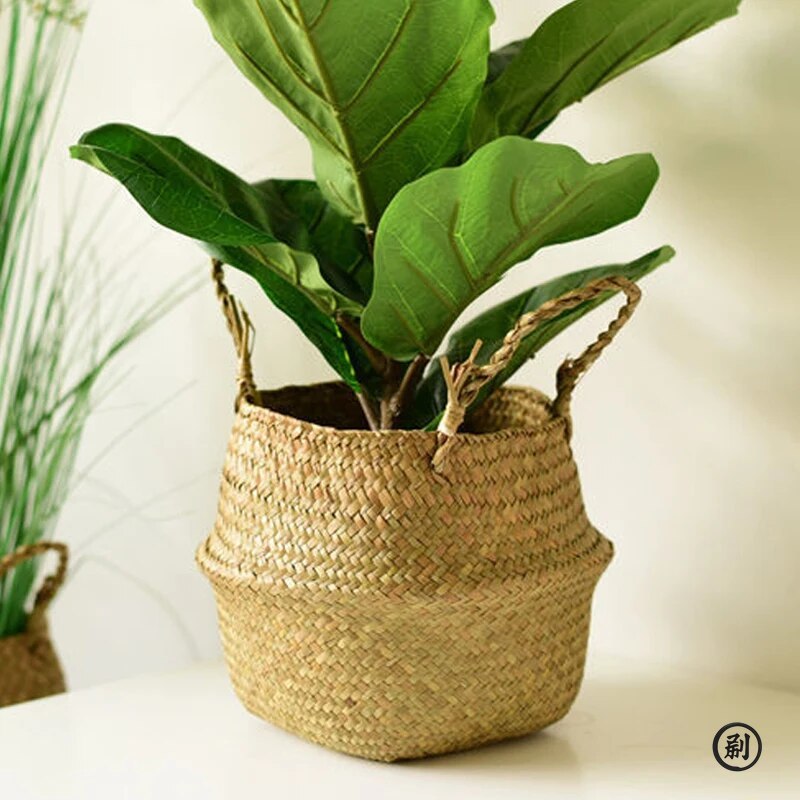 Wicker Basket Toy Organizer Fo - مراجعة Aloe Vera Pot وسعره