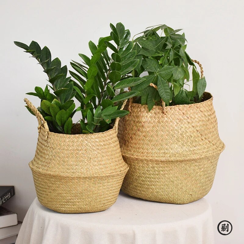 Wicker Basket Toy Organizer Fo - مراجعة Aloe Vera Pot وسعره